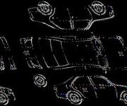 Podrobna fotografija