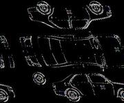 Podrobna fotografija