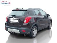 Vue de l’arrière droit