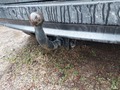 View of trailer tow-bar hitch