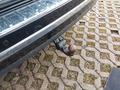 View of trailer tow-bar hitch