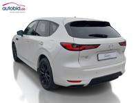 Vaade tagant vasakult