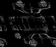 Podrobna fotografija