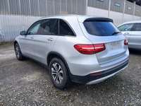 Vaade tagant vasakult