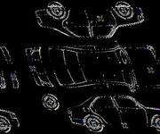 Podrobna fotografija