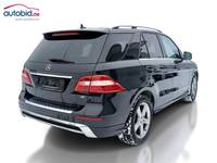 Vue de l’arrière droit