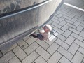 View of trailer tow-bar hitch
