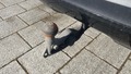 View of trailer tow-bar hitch