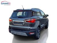 Вид сзади справа