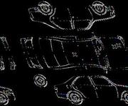 Podrobna fotografija