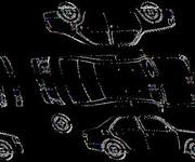 Podrobna fotografija