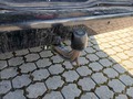 View of trailer tow-bar hitch