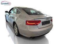 Vista posteriore sinistra