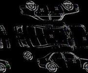 Podrobna fotografija