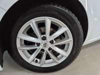 Szczegółowe zdjęcie