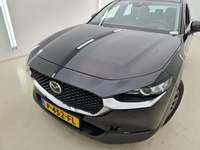 Szczegółowe zdjęcie