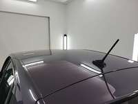 Szczegółowe zdjęcie