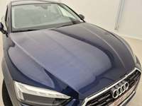 Szczegółowe zdjęcie