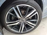 Szczegółowe zdjęcie