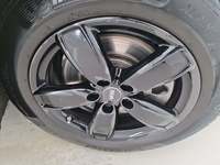 Szczegółowe zdjęcie