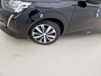 Szczegółowe zdjęcie