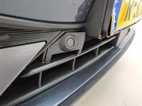 Szczegółowe zdjęcie