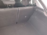 Szczegółowe zdjęcie