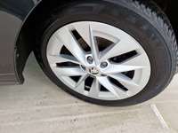 Szczegółowe zdjęcie