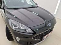 Szczegółowe zdjęcie