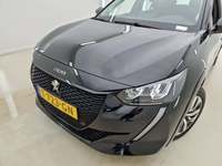 Szczegółowe zdjęcie