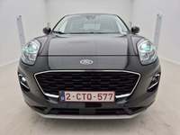 Szczegółowe zdjęcie