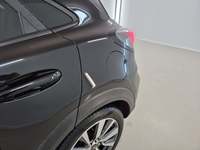 Szczegółowe zdjęcie