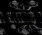 Podrobna fotografija