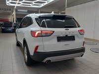 Náhled zezadu zleva