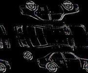 Podrobna fotografija