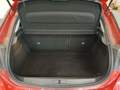 Ansicht Kofferraum / Laderaum