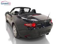 Ansicht hinten links