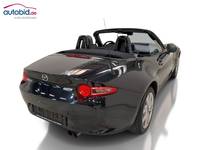 Ansicht hinten rechts