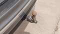 View of trailer tow-bar hitch