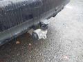 View of trailer tow-bar hitch