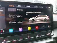 Szczegółowe zdjęcie