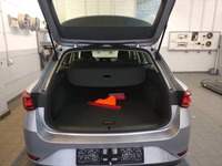 Szczegółowe zdjęcie