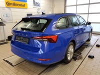 Szczegółowe zdjęcie