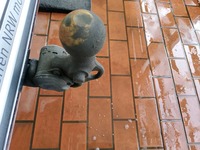 Szczegółowe zdjęcie