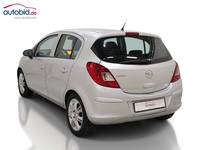 Ansicht hinten links