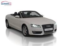 Vaizdas iš priekio dešinės