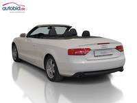 Vaizdas iš galo kairės