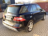 Aanzicht achter rechts