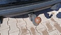 View of trailer tow-bar hitch
