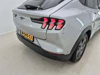 Szczegółowe zdjęcie